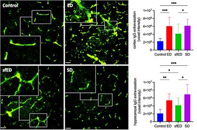 The Consumption of Energy Drinks Induces Blood-Brain Barrier Dysfunction in Wild-Type Mice